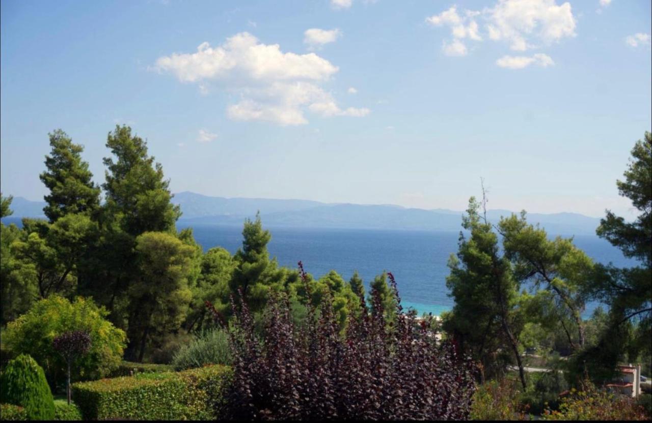 Amazing Villa With Views Sea In Paliouri Ngoại thất bức ảnh
